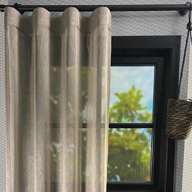 Inbetween Bellis Bruin