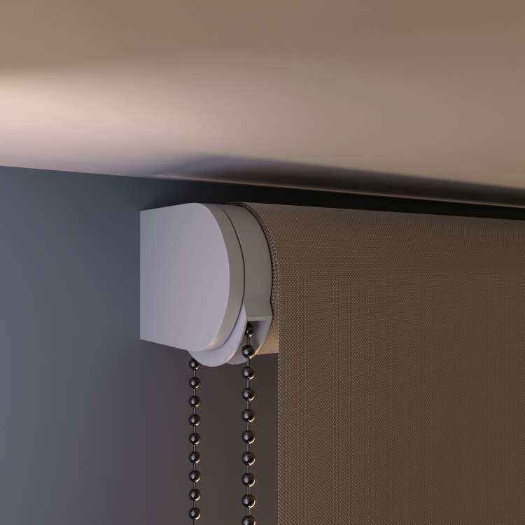 Rolgordijn Boston Bruin