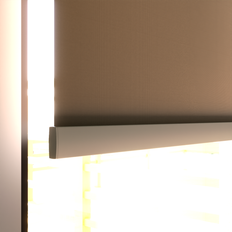 Rolgordijn Boston Bruin