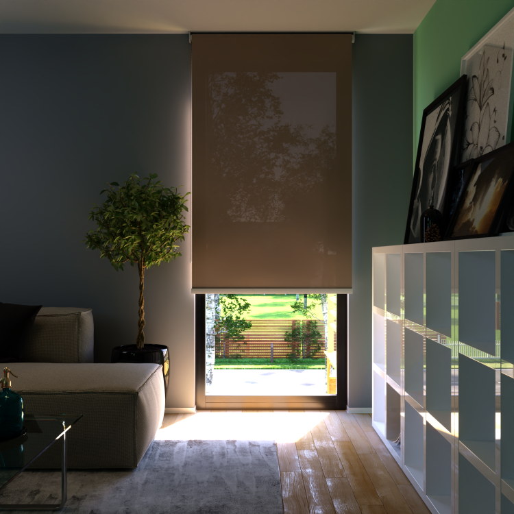 Rolgordijn Boston Bruin