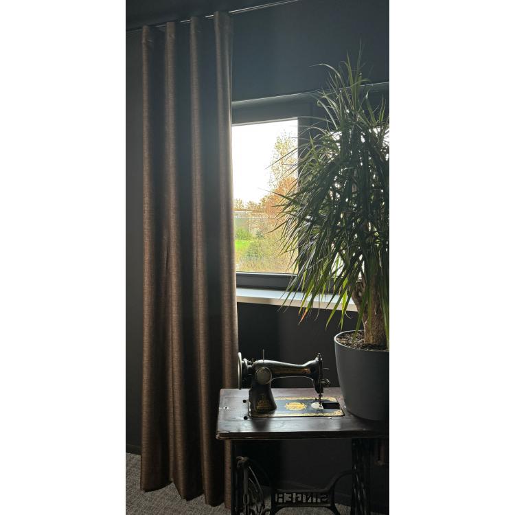 Verduisterend Remo Bruin