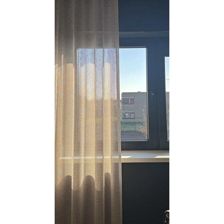 Inbetween Soli Bruin