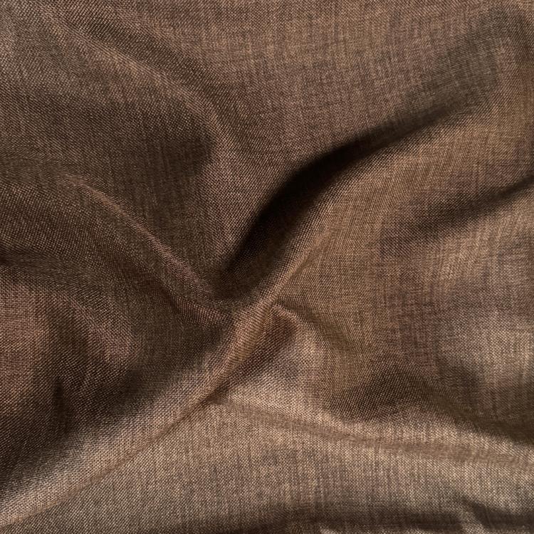 Verduisterend Remo Bruin